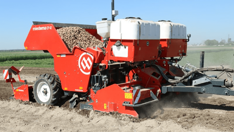Plantadora de papas CP42 P 80M